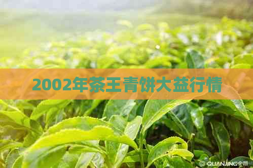 2002年茶王青饼大益行情