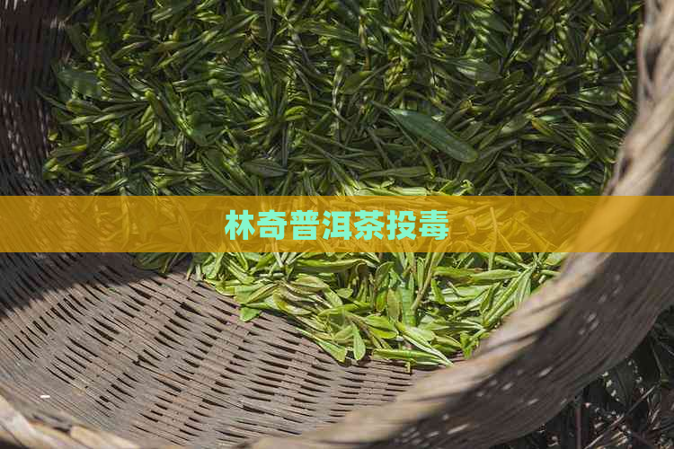 林奇普洱茶投