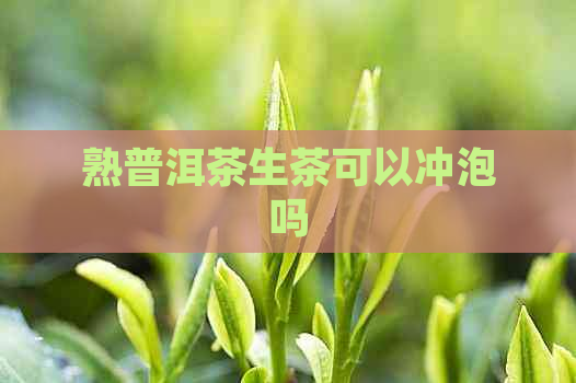 熟普洱茶生茶可以冲泡吗