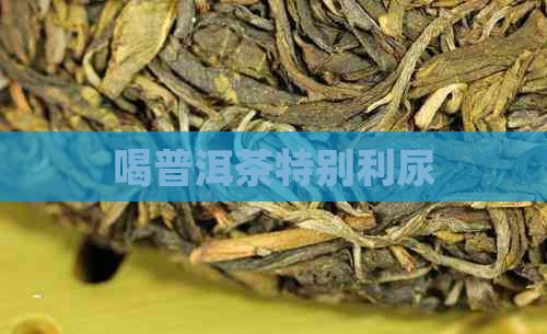 喝普洱茶特别利尿