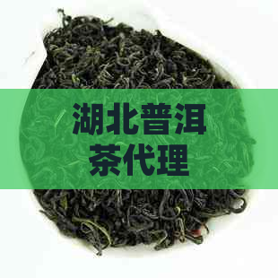 湖北普洱茶代理