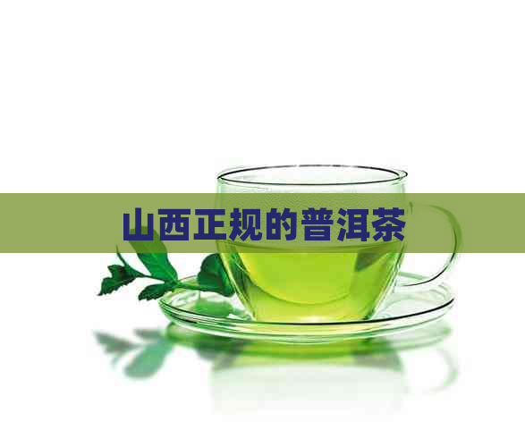 山西正规的普洱茶