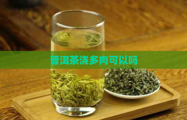 普洱茶浇多肉可以吗