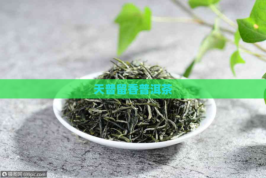 天普留香普洱茶