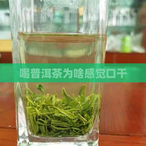 喝普洱茶为啥感觉口干