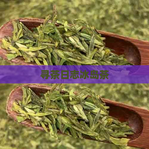 寻茶日志冰岛茶