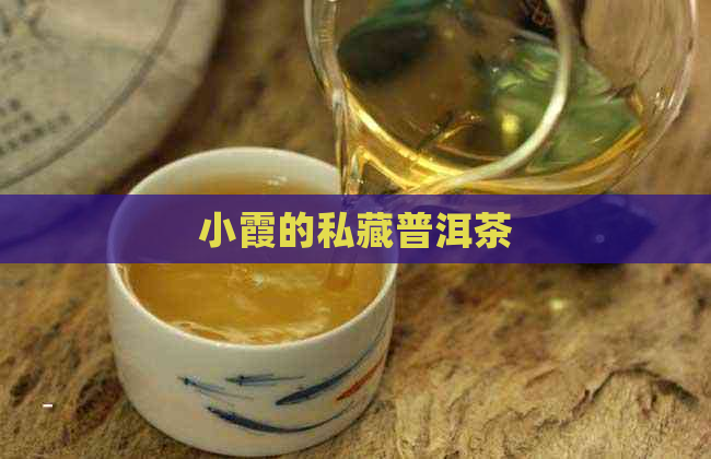 小霞的私藏普洱茶