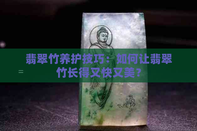 翡翠竹养护技巧：如何让翡翠竹长得又快又美？