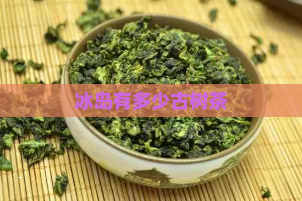 冰岛有多少古树茶