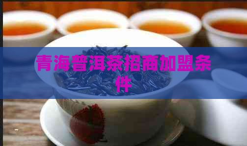 青海普洱茶招商加盟条件