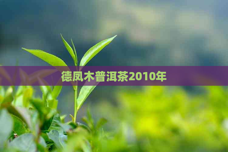 德凤木普洱茶2010年