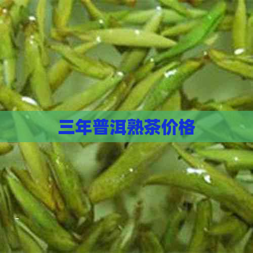 三年普洱熟茶价格