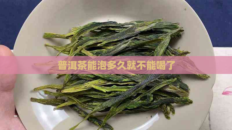 普洱茶能泡多久就不能喝了