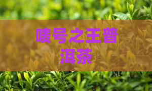 唛号之王普洱茶