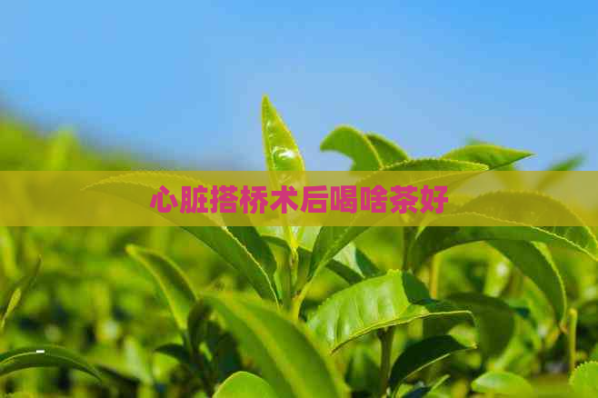 心脏搭桥术后喝啥茶好