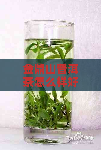 金鼎山普洱茶怎么样好喝吗