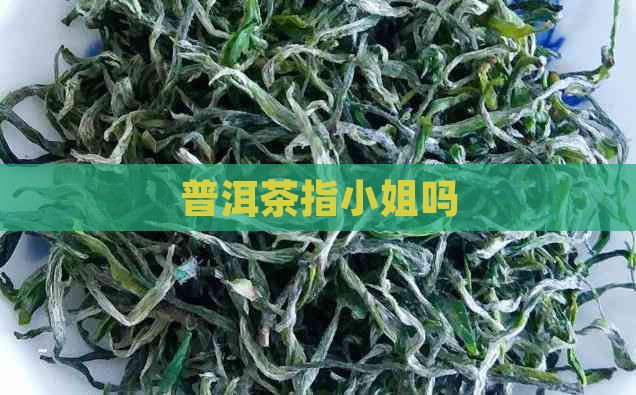 普洱茶指     吗