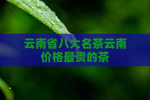 云南省八大名茶云南价格最贵的茶