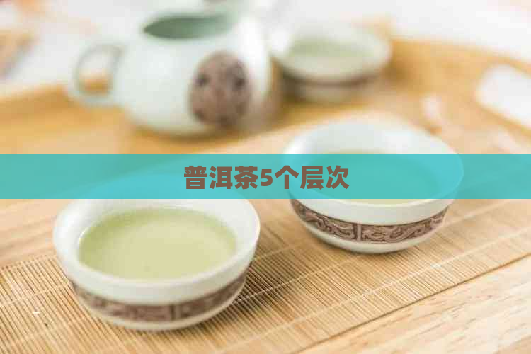 普洱茶5个层次