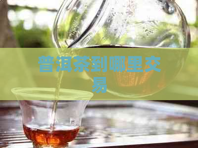 普洱茶到哪里交易