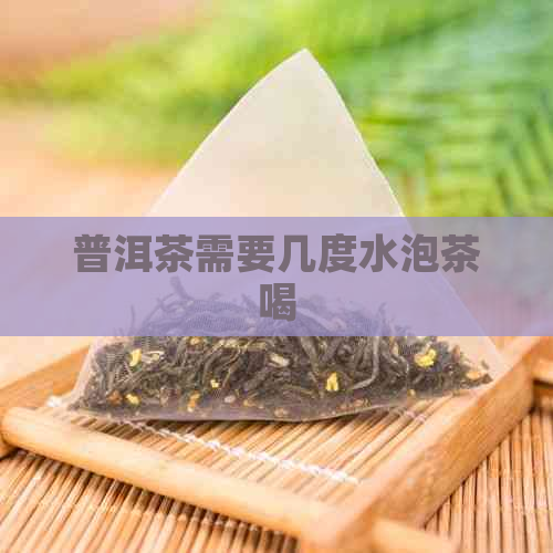 普洱茶需要几度水泡茶喝