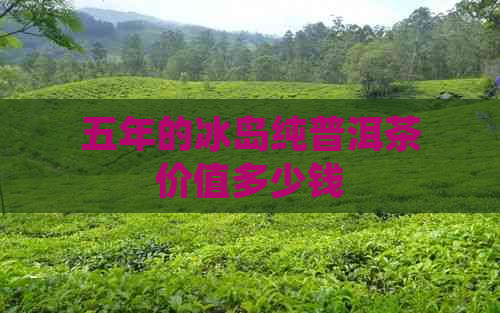 五年的冰岛纯普洱茶价值多少钱