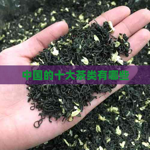 中国的十大茶类有哪些