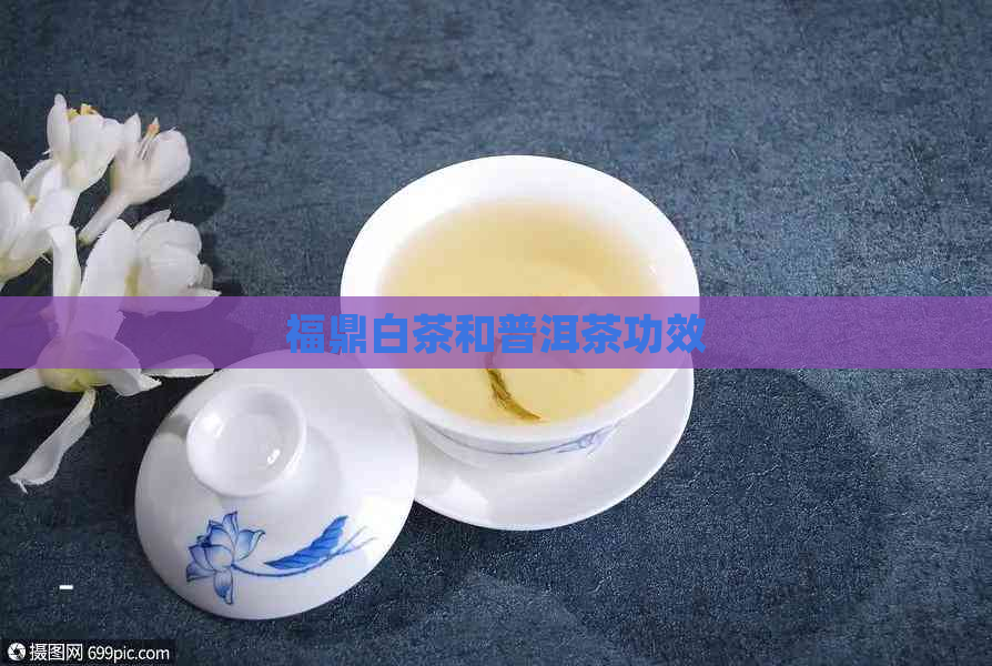 福鼎白茶和普洱茶功效