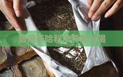 普洱茶哈利波特怎么喝