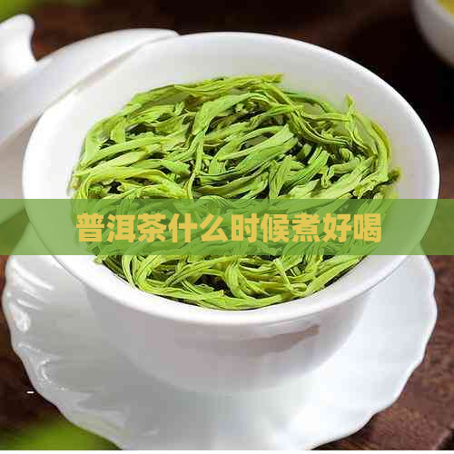 普洱茶什么时候煮好喝