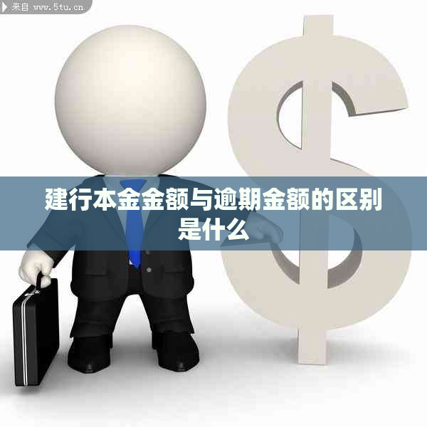 建行本金金额与逾期金额的区别是什么