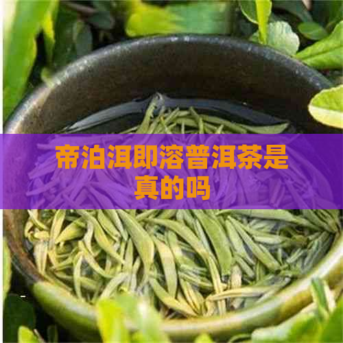 帝泊洱即溶普洱茶是真的吗