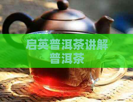 启英普洱茶讲解普洱茶