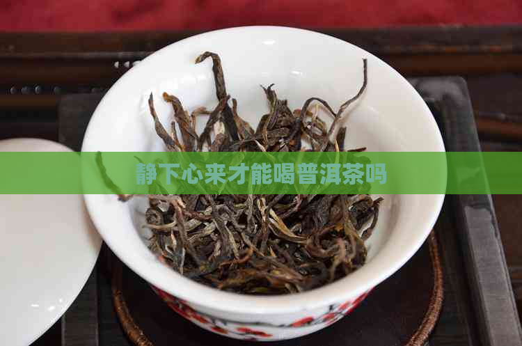 静下心来才能喝普洱茶吗