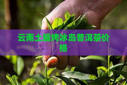 云南土罐烤冰岛普洱茶价格