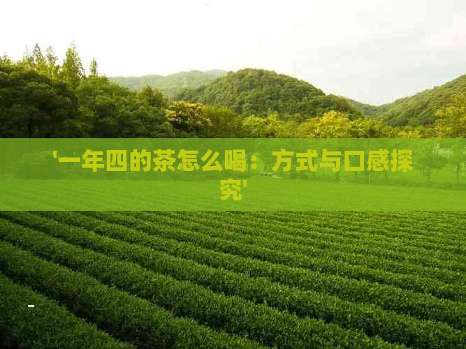 '一年四的茶怎么喝：方式与口感探究'