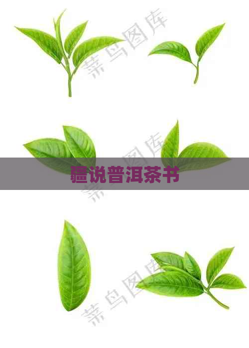 疆说普洱茶书