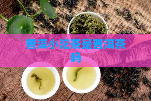 普洱小沱茶是普洱茶吗