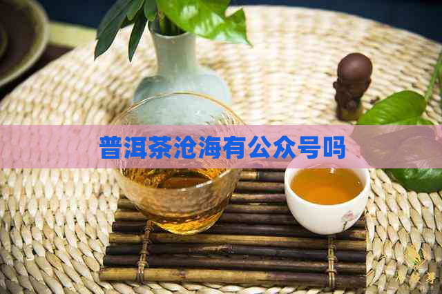 普洱茶沧海有公众号吗