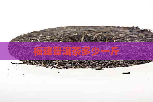 福建普洱茶多少一斤