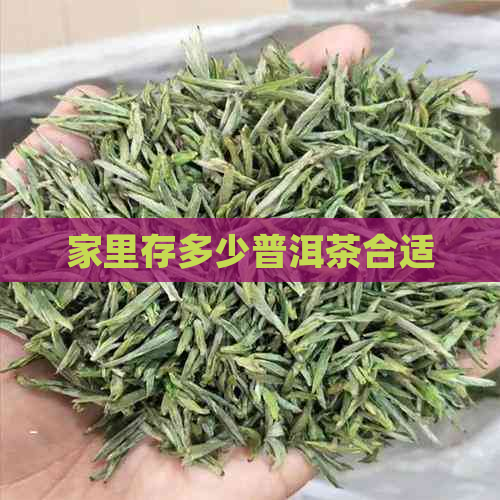 家里存多少普洱茶合适