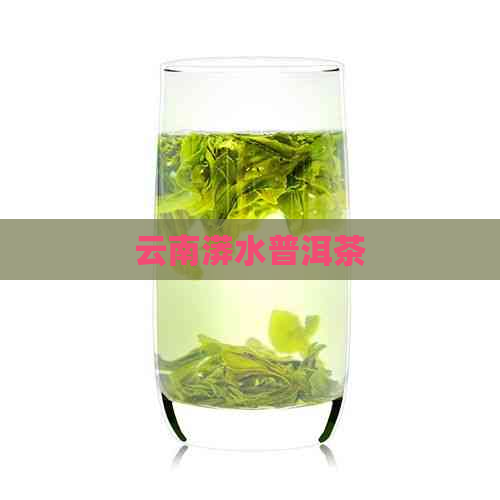 云南漭水普洱茶