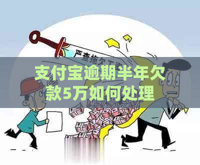 支付宝逾期半年欠款5万如何处理