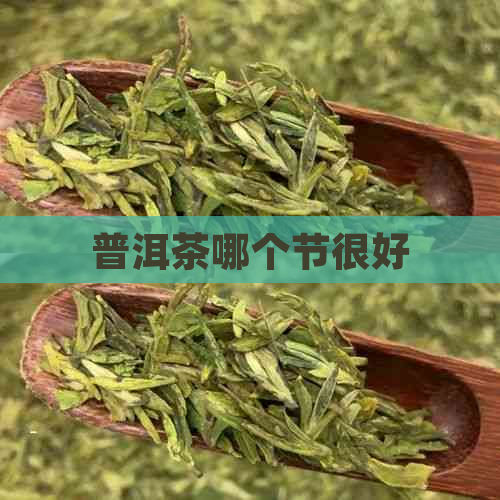 普洱茶哪个节很好