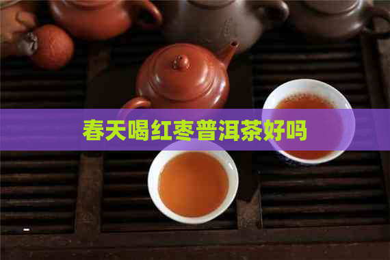 春天喝红枣普洱茶好吗