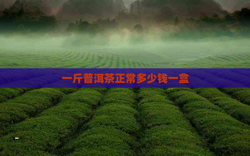 一斤普洱茶正常多少钱一盒