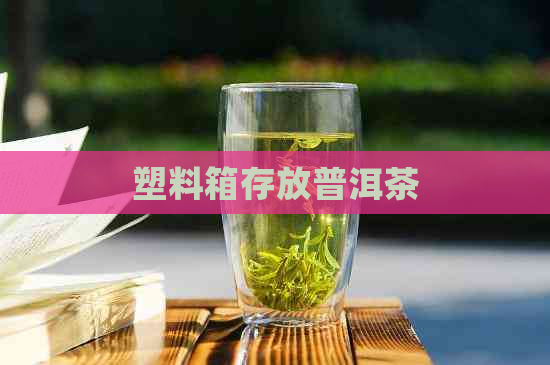 塑料箱存放普洱茶