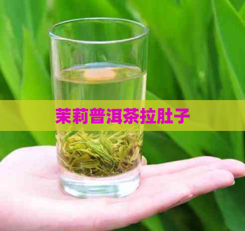 茉莉普洱茶拉肚子