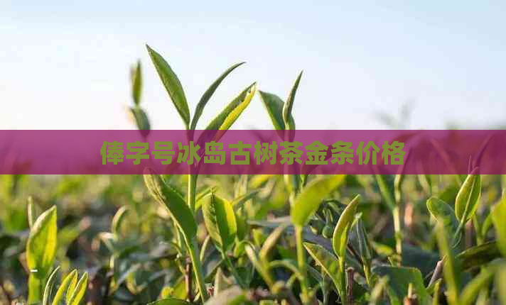 俸字号冰岛古树茶金条价格