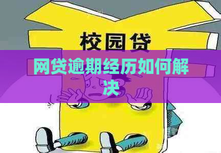 网贷逾期经历如何解决